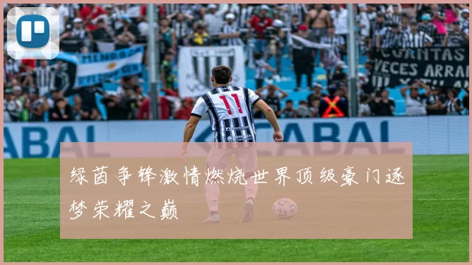 绿茵争锋激情燃烧世界顶级豪门逐梦荣耀之巅