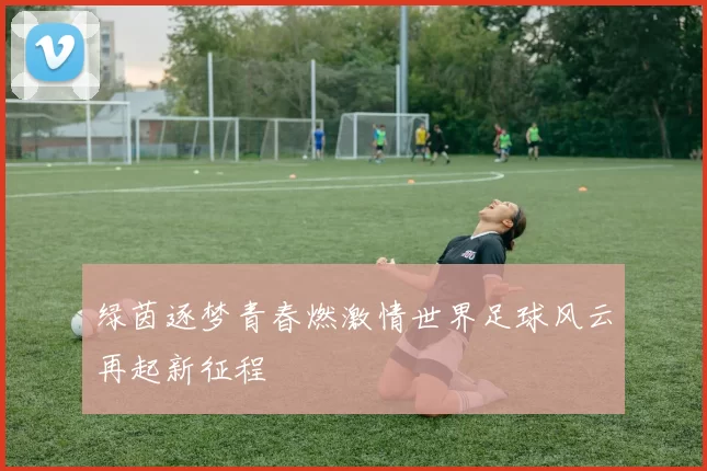 绿茵逐梦青春燃激情世界足球风云再起新征程