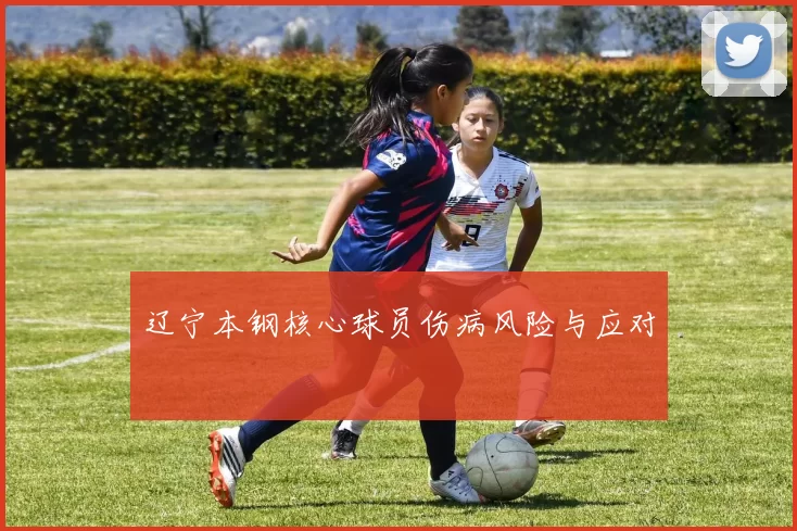 辽宁本钢核心球员伤病风险与应对